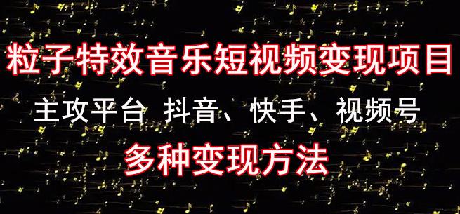 黄岛主《粒子特效音乐短视频变现项目》主攻平台抖音、快手、视频号多种变现方法-木石资源网