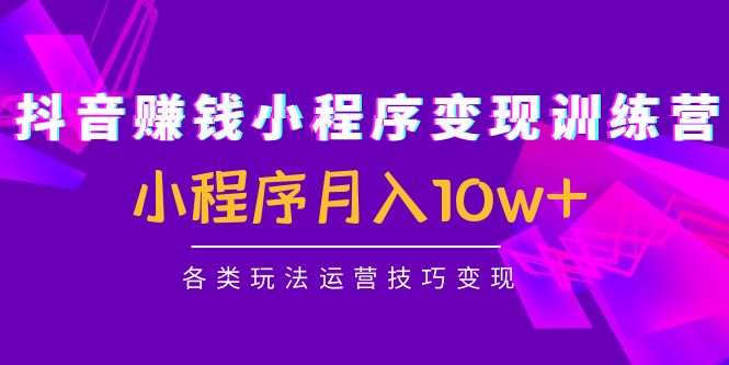 抖音赚钱小程序变现训练营：小程序月入10w+各类玩法运营技巧变现-木石资源网