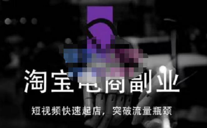 蓝Sir派·淘宝短视频快速起店，替代传统搜索方式，学会做一个不一样的淘宝店-木石资源网