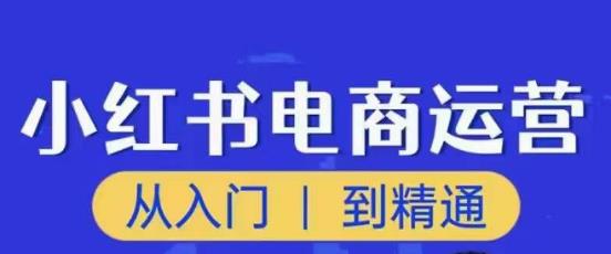 顽石小红书电商高阶运营课程，从入门到精通，玩法流程持续更新-木石资源网