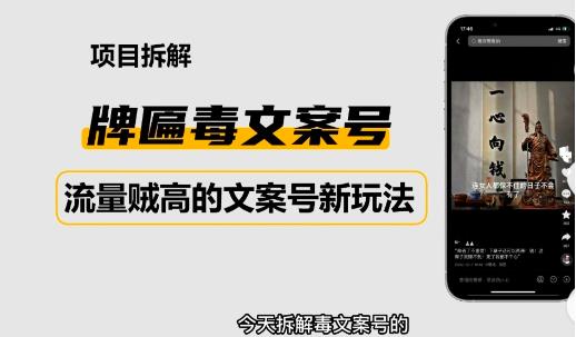 2023抖音快手毒文案新玩法，牌匾文案号，起号快易变现-木石资源网