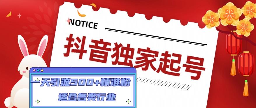 抖音独家起号，一天引流500+精准粉，适合各类行业（9节视频课）-木石资源网