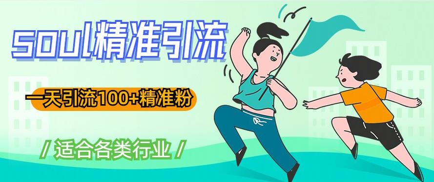 soul精准引流系列课程，一天引流100+精准粉，适合各类行业-木石资源网