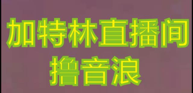 抖音加特林直播间搭建技术，抖音0粉开播，暴力撸音浪，2023新口子，每天800+【素材+详细教程】-木石资源网