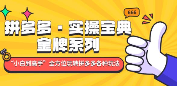 拼多多·实操宝典：金牌系列“小白到高手”带你全方位玩转拼多多各种玩法-木石资源网