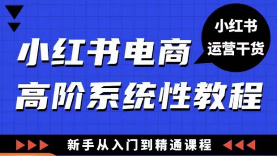 小红书电商高阶系统教程，新手从入门到精通系统课-木石资源网