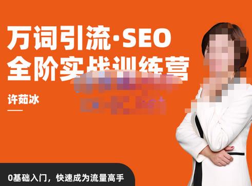 许茹冰·万词引流-SEO全阶实战训练营，0基础入门，快速成为流量高手-木石资源网