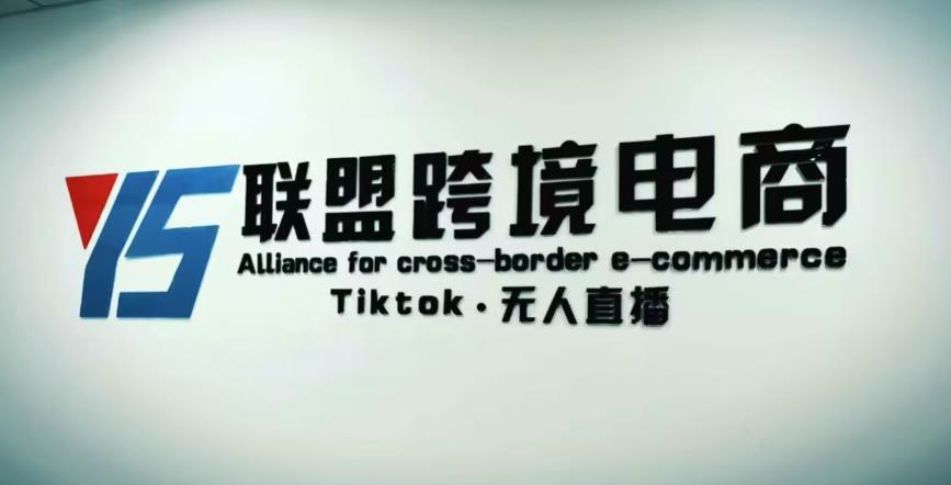YS联盟·Tiktok无人直播，不出镜不剪辑不拍摄不发货无售后的跨境短视频躺赚玩法-木石资源网