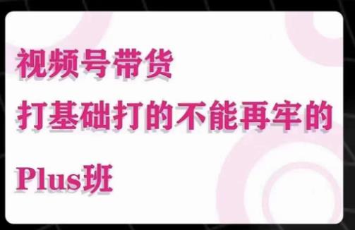 大播汇·视频号带货Puls班，视频号底层逻辑，起号自然流鱼塘等玩法-木石资源网