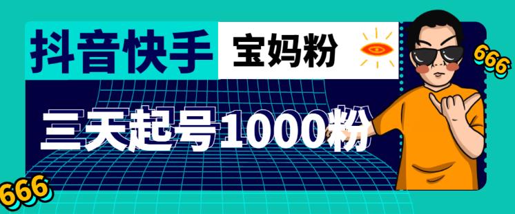 抖音快手三天起号涨粉1000宝妈粉丝的核心方法【详细玩法教程】-木石资源网