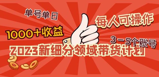 2023新细分领域带货计划：单号单日1000+收益不难，每人可操作3-5个账号-木石资源网