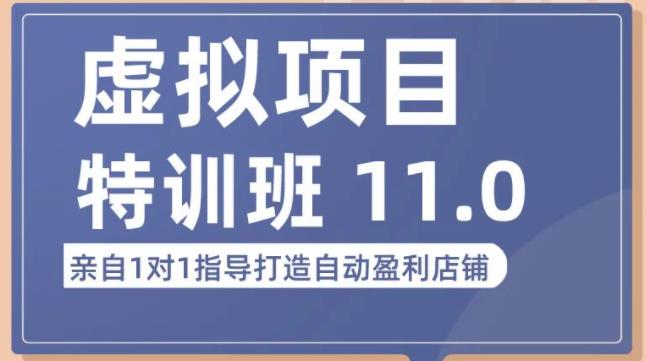 陆明明·虚拟项目特训班（10.0+11.0），0成本获取虚拟素材，0基础打造自动盈利店铺-木石资源网