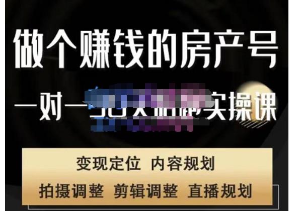 刘广标·同城房产号线上陪跑课，拍摄、剪辑、写文案、直播，做一个具有潜力价值的房产号-木石资源网