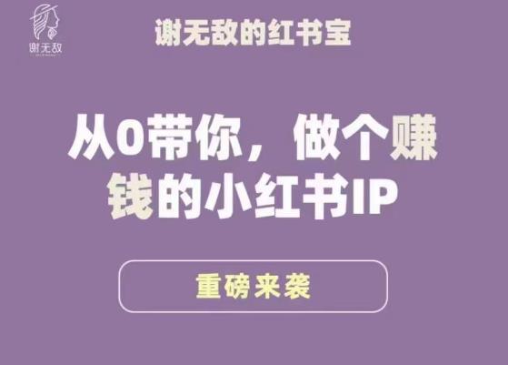 谢无敌·小红书运营大宝典，从0带你做个赚钱的小红书IP-木石资源网