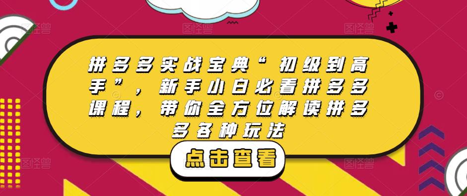 拼多多实战宝典“初级到高手”，新手小白必看拼多多课程，带你全方位解读拼多多各种玩法-木石资源网