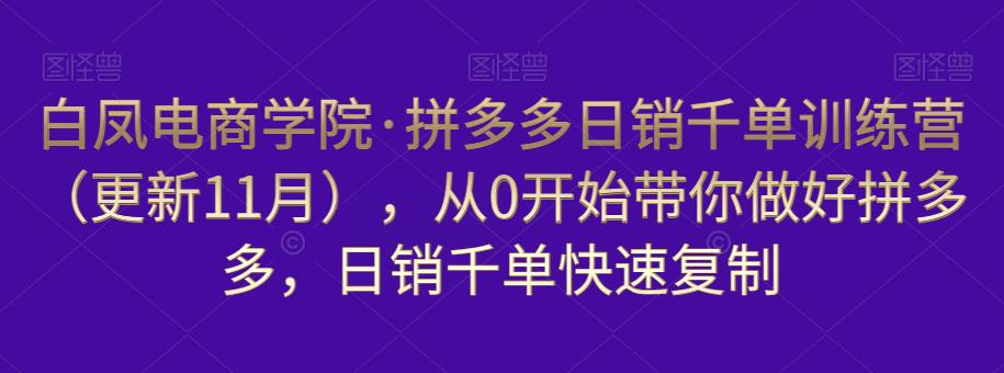 白凤电商学院·拼多多日销千单训练营，从0开始带你做好拼多多，日销千单快速复制（更新知2023年3月）-木石资源网