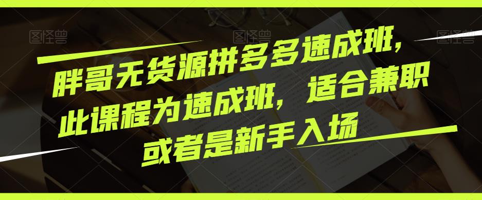 胖哥无货源拼多多速成班，此课程为速成班，适合兼职或者是新手入场-木石资源网