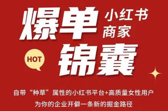 无畏·小红书商家爆单锦囊，掌握小红书各大规则，快速精准抢占行业和市场-木石资源网