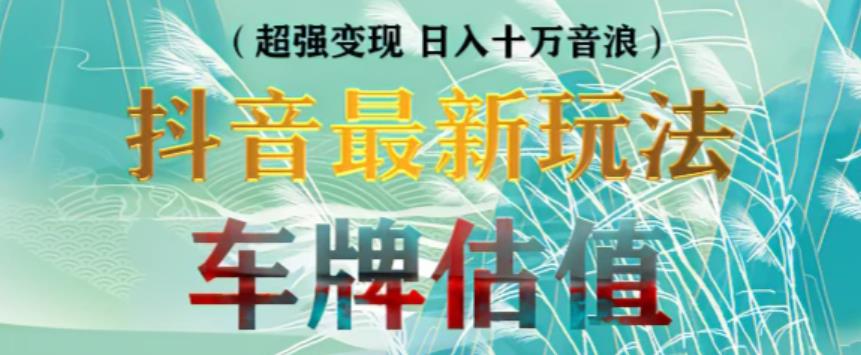 抖音最新无人直播变现直播车牌估值玩法项目，轻松日赚几百+【详细玩法教程】-木石资源网