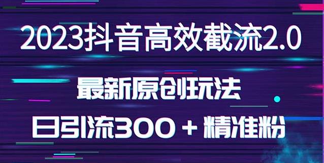 日引300＋创业粉，独家抖音高效截流2.0玩法（价值1280）-木石资源网
