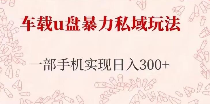 车载u盘暴力私域玩法，长期项目，仅需一部手机实现日入300+-木石资源网