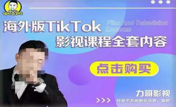 海外TikTok影视课程全套，从搭建渠道，到如何正确使用账号，到未来的变现渠道等-木石资源网