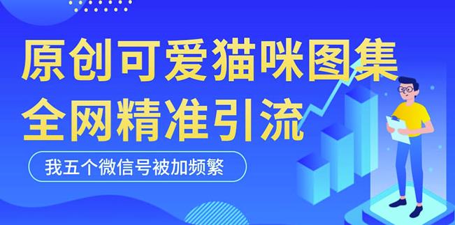 黑科技纯原创可爱猫咪图片，全网精准引流，实操5个VX号被加频繁-木石资源网