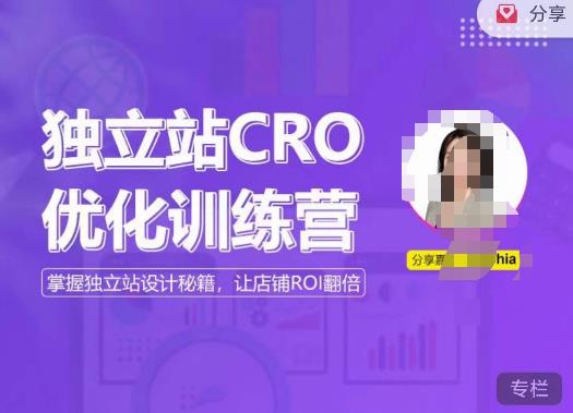 独立站CRO优化训练营，掌握独立站设计秘籍，打造高转化的独立站，让店铺ROI翻倍-木石资源网