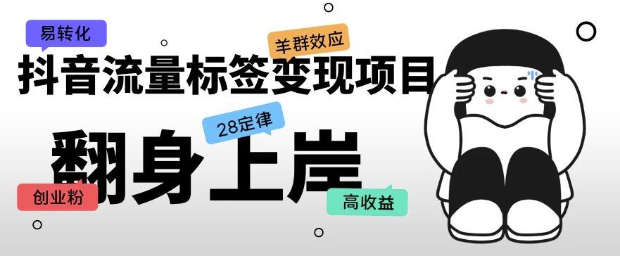 抖音流量标签变现项目，抖音创业粉轻松转化，单价高收益简单-木石资源网