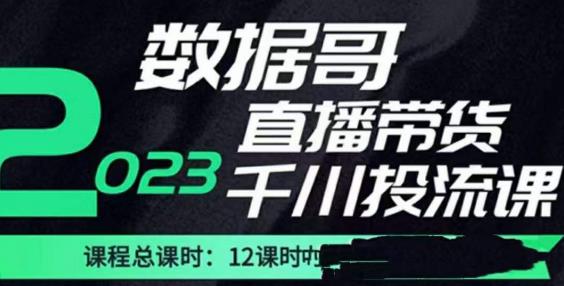 数据哥2023直播电商巨量千川付费投流实操课，快速掌握直播带货运营投放策略-木石资源网