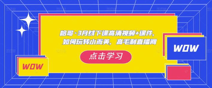 哈哥·3月线下实操课高清视频+课件，如何玩转小而美，高毛利直播间-木石资源网