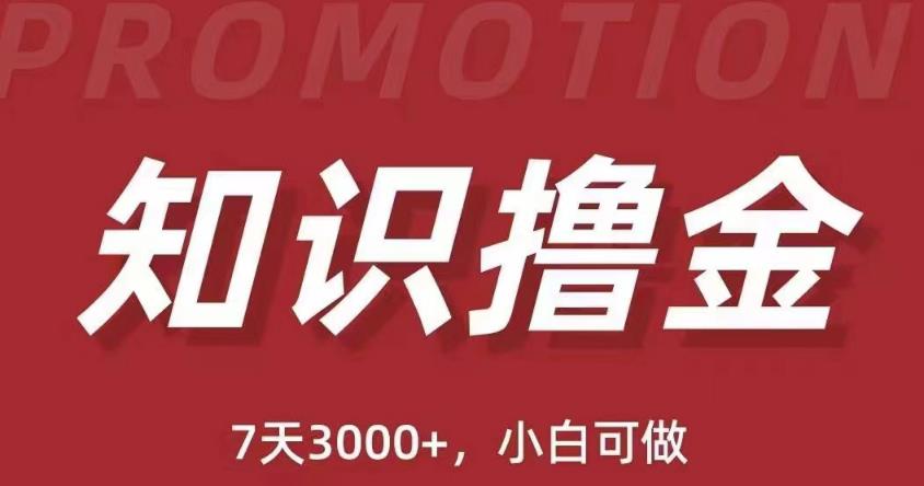 抖音知识撸金项目：简单粗暴日入1000+执行力强当天见收益(教程+资料)-木石资源网