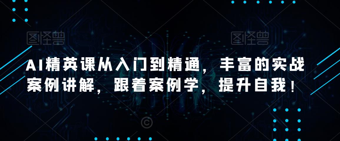 AI精英课从入门到精通，丰富的实战案例讲解，跟着案例学，提升自我！-木石资源网