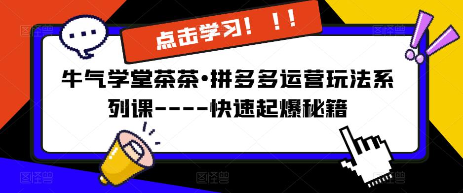 牛气学堂茶茶•拼多多运营玩法系列课—-快速起爆秘籍【更新】-木石资源网