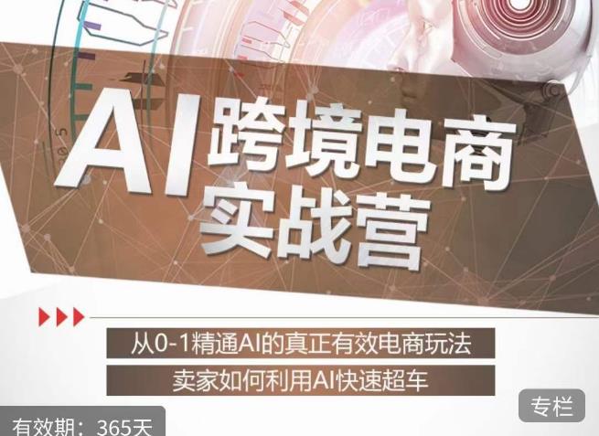 白龙老师·AI跨境电商实战营：从0-1精通Al的真正有效电商玩法，卖家如何利用Al快速超车-木石资源网