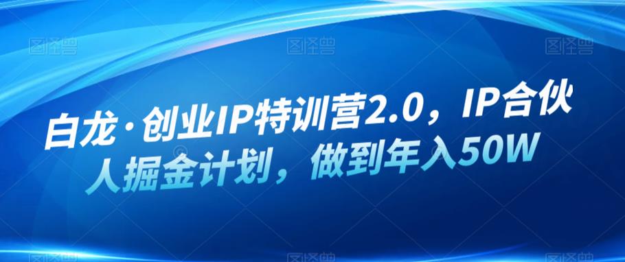 白龙·创业IP特训营2.0，IP合伙人掘金计划，做到年入50W-木石资源网