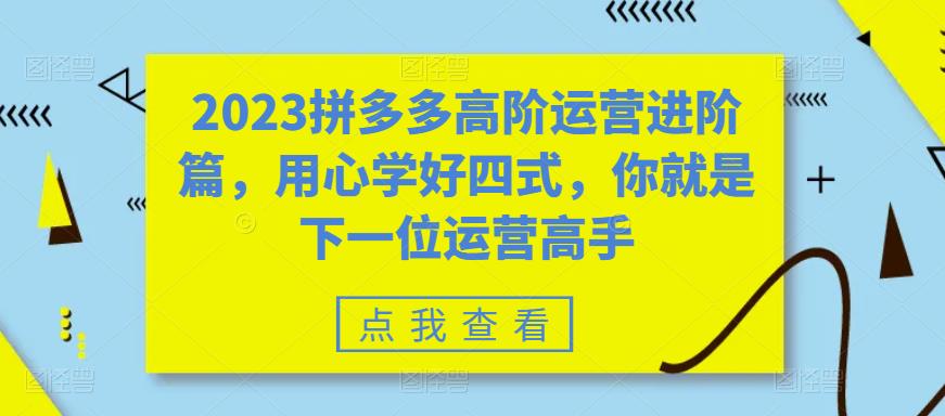 2023拼多多高阶运营进阶篇，用心学好四式，你就是下一位运营高手-木石资源网