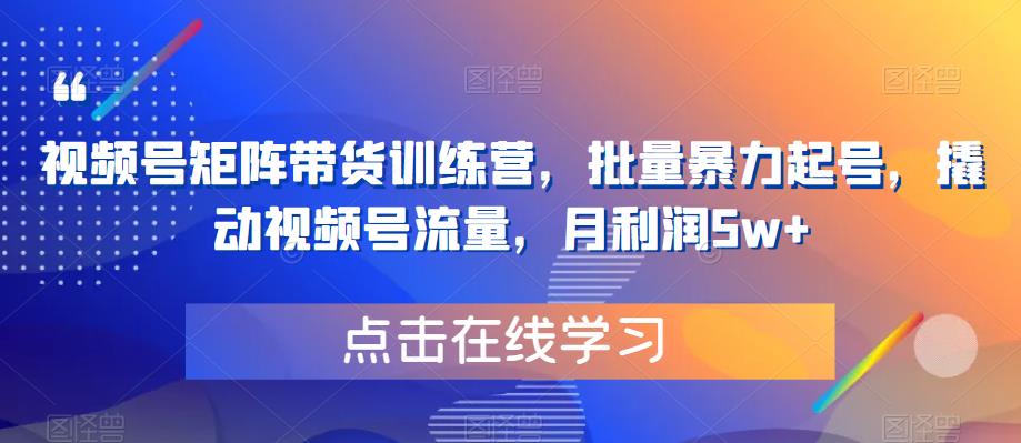 视频号矩阵带货训练营，批量暴力起号，撬动视频号流量，月利润5w+-木石资源网