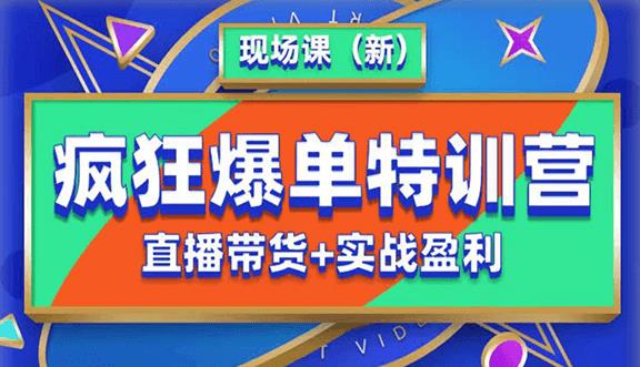 抖音短视频疯狂爆单特训营现场课（新）直播带货+实战案例-木石资源网