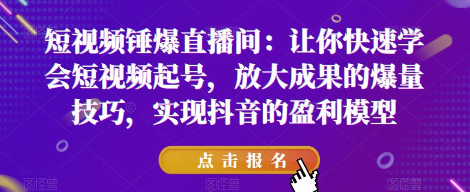 短视频锤爆直播间：让你快速学会短视频起号，放大成果的爆量技巧，实现抖音的盈利模型-木石资源网