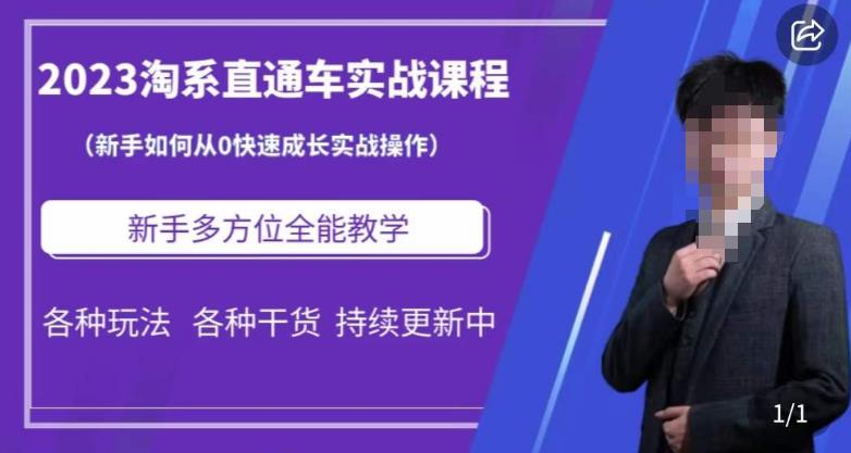 2023淘系直通车保姆式运营讲解，新手如何从0快速成长实战操作，新手多方位全能教学-木石资源网