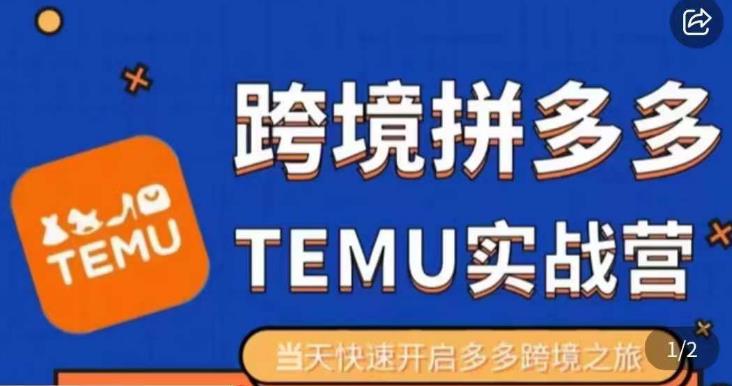 大鹏出海·拼多多跨境temu运营指导，开店注册+选品+核价上架，日出千单实战课-木石资源网