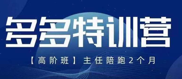 纪主任·5月最新多多特训营高阶班，玩法落地实操，多多全掌握-木石资源网