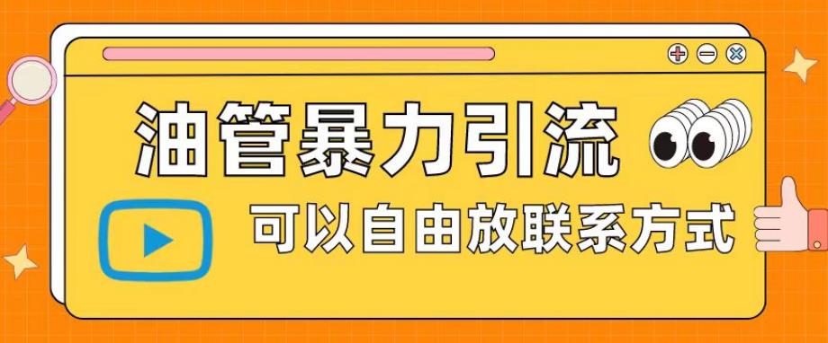 油管暴力引流，可以自由放联系方式【揭秘】-木石资源网