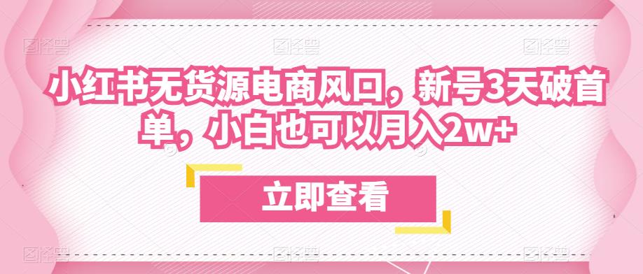 众狼电商余文小红书无货源电商风口，新号3天破首单，小白也可以月入2w+-木石资源网