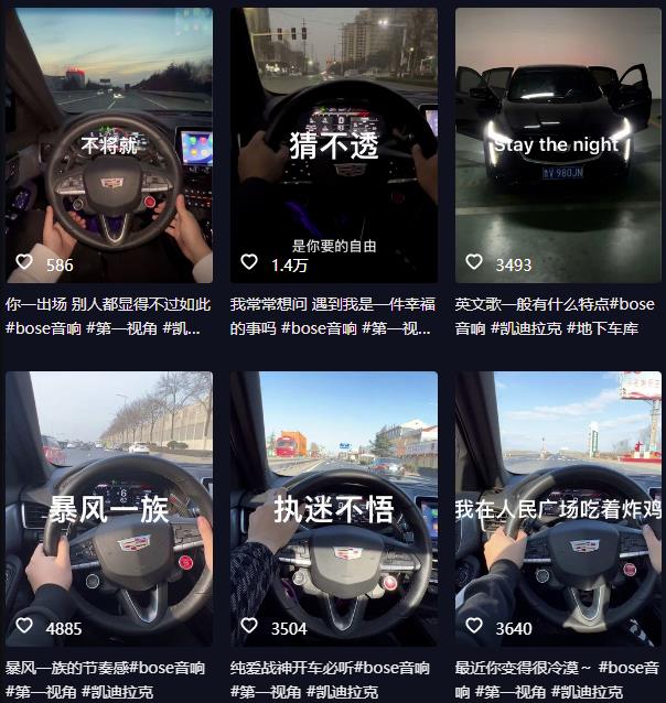 抖音开车视频项目，0基础操作，每天五分钟，月入1W+【揭秘】-木石资源网