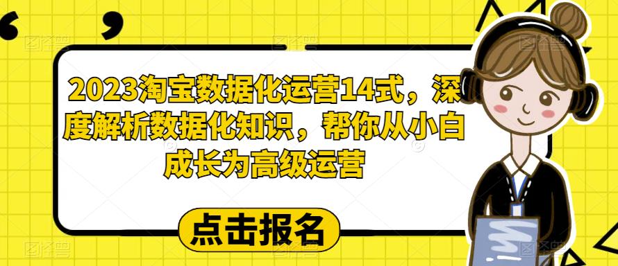 2023淘宝数据化运营14式，深度解析数据化知识，帮你从小白成长为高级运营-木石资源网