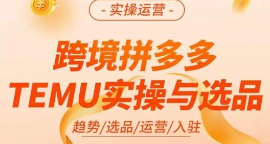 伍跃·跨境拼多多TEMU实操与选品，​趋势/选品/运营/入住（27节完整）-木石资源网