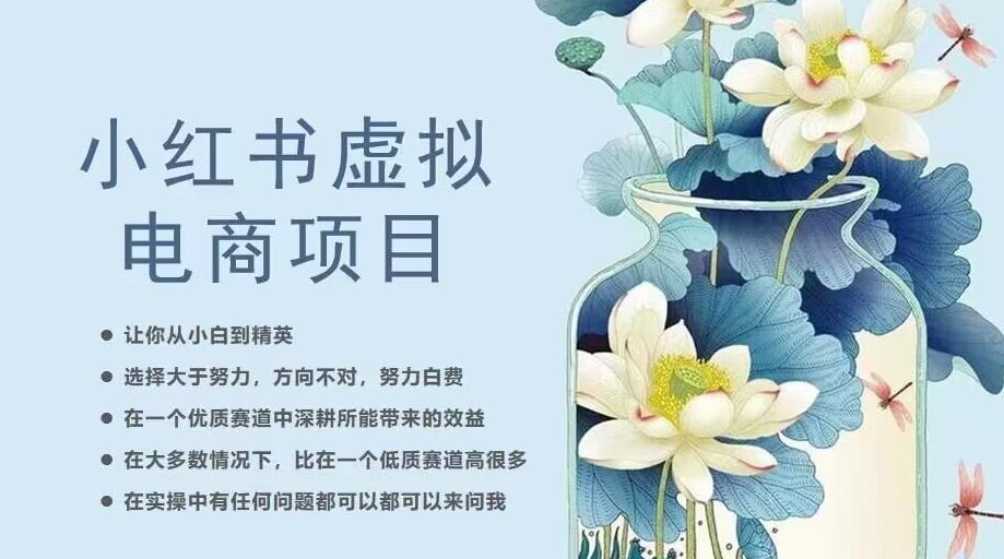 小红书虚拟电商从0到1，让你从小白到精英（20节实操课程）-木石资源网