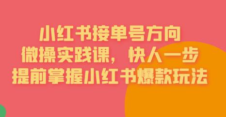 接单号方向·小红书微操实践课，快人一步，提前掌握小红书爆款玩法-木石资源网